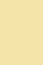 FARROW AND BALL FARROWS CREAM NO. 67 PAINT